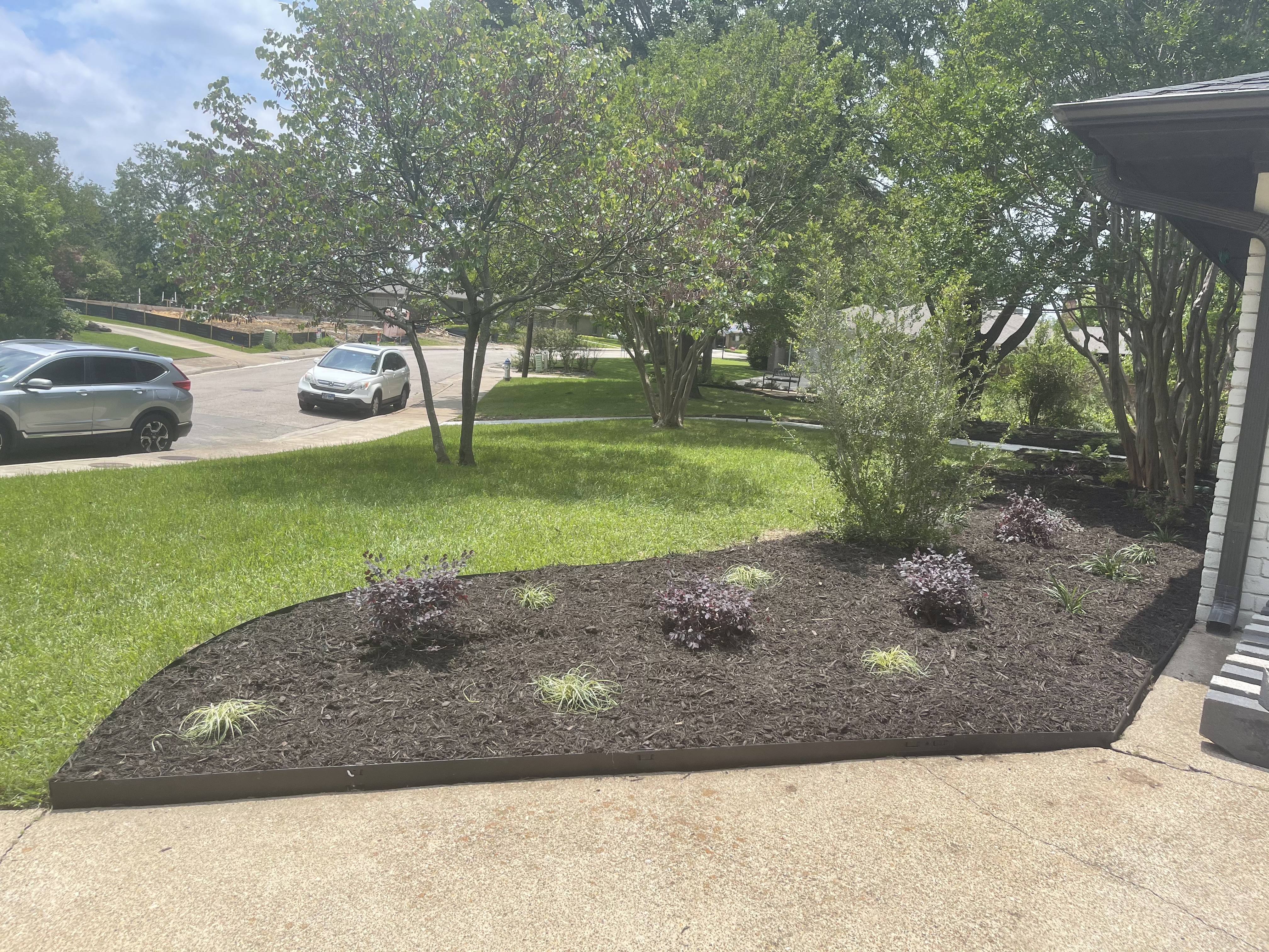 Weed, Grub & Fertilizer Calendar for DFW Lawns