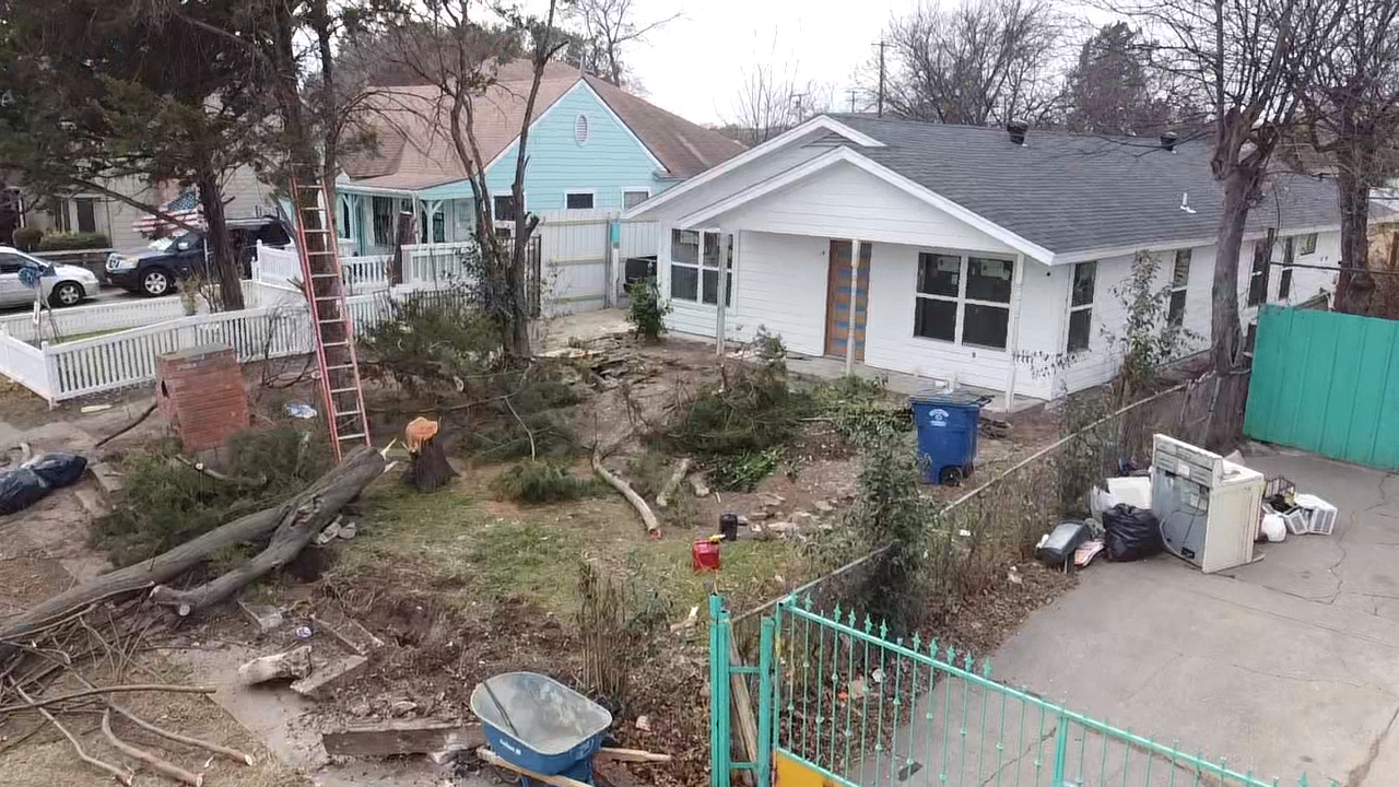 June in Carrollton: Is Your Yard Summer-Ready?