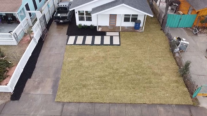 How Do Dallas Watering Rules Affect New Sod?