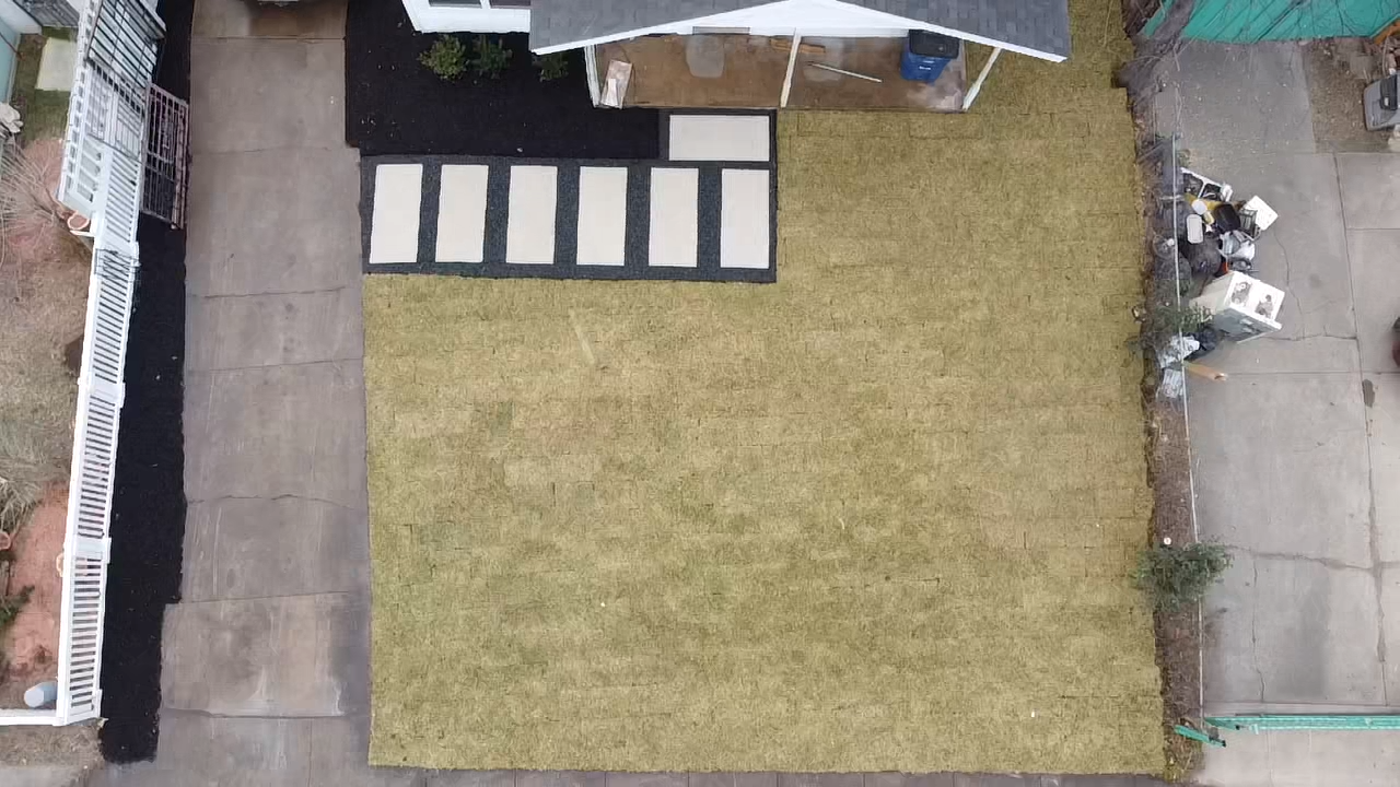Artificial Turf or Natural Grass: Which for DFW?
