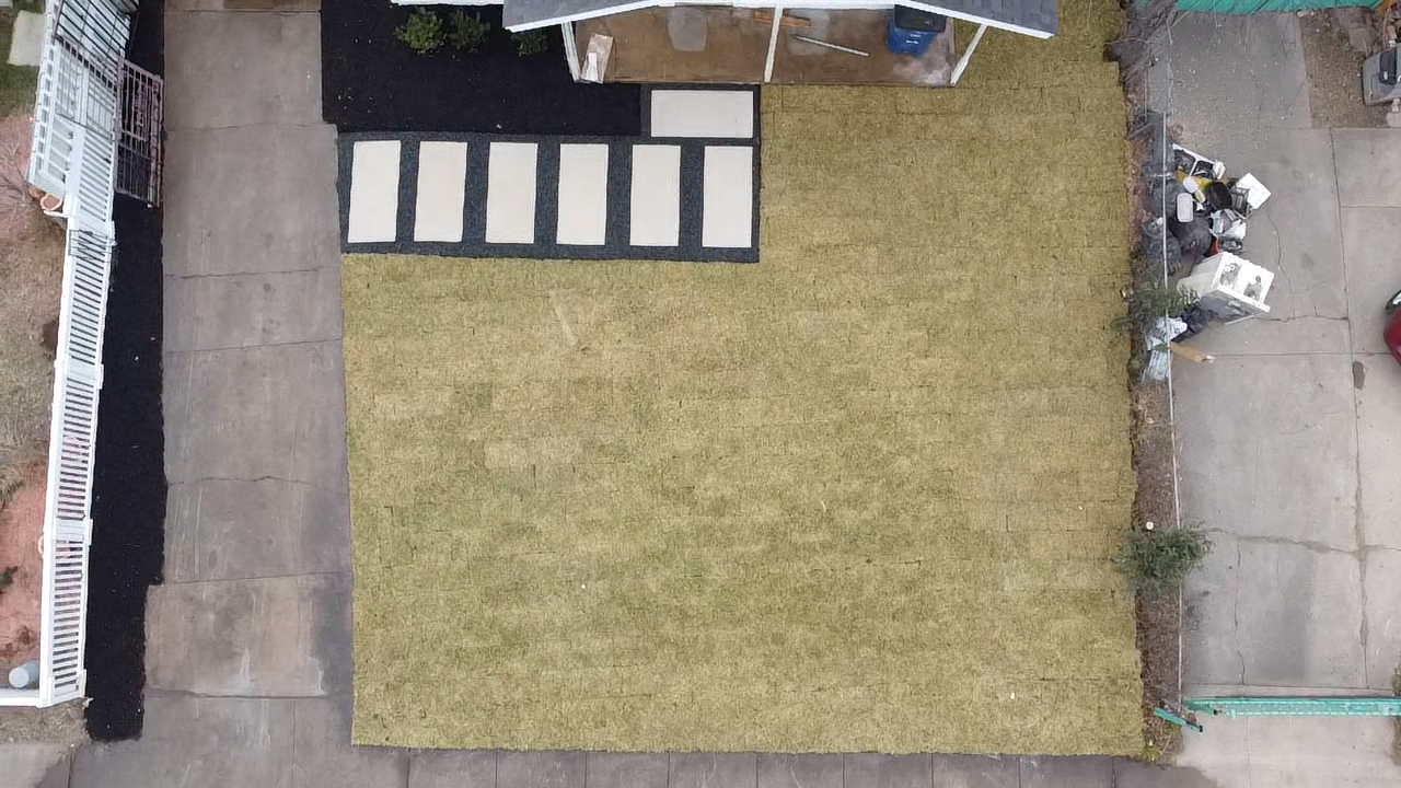 The Complete Guide to Sod Installation in DFW