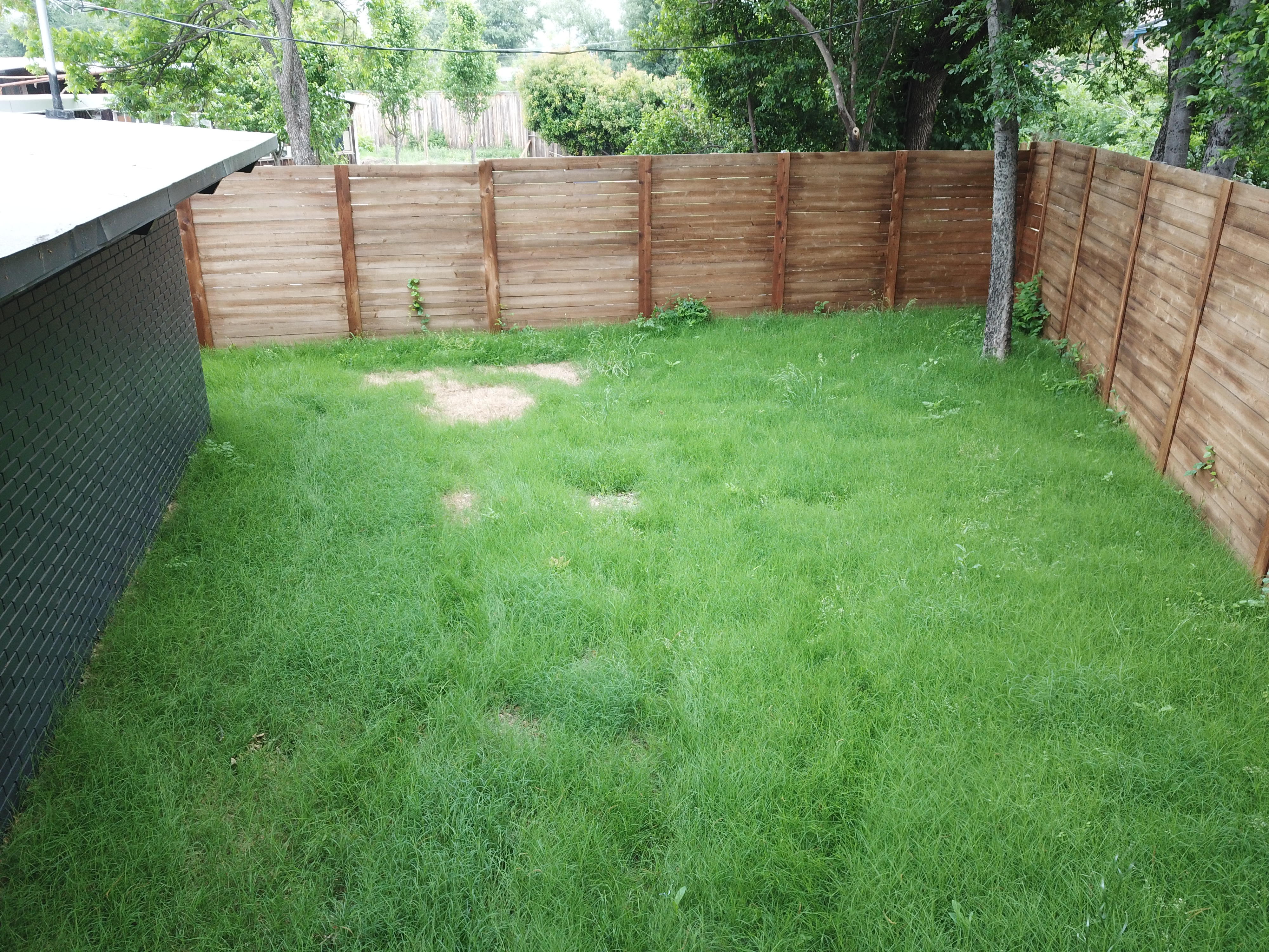 What's the Best Wood for a Fence in North Texas?