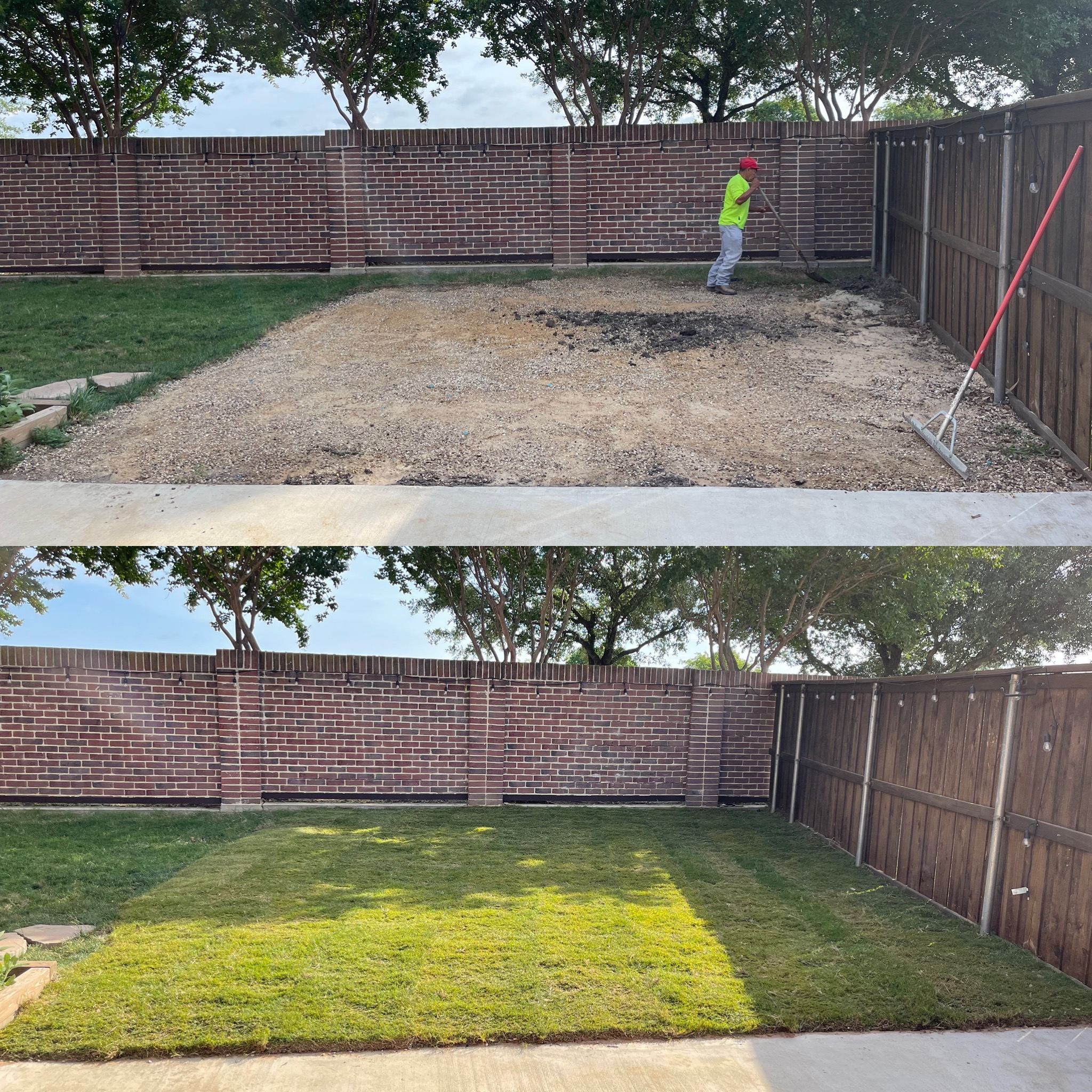 What Does a DFW Lawn Need to Survive Summer 2026?