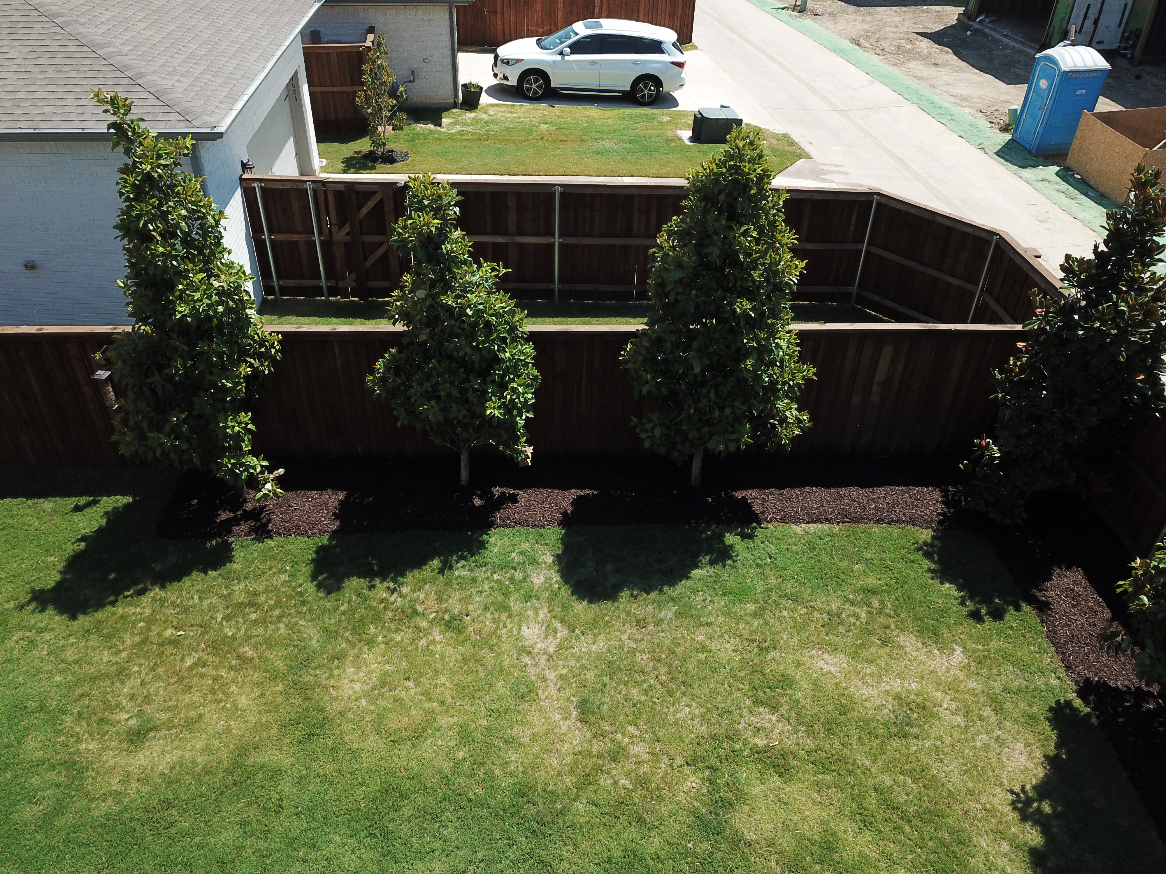 Zeon or Zenith Zoysia: Should a DFW Yard Be Sodded or Seeded?
