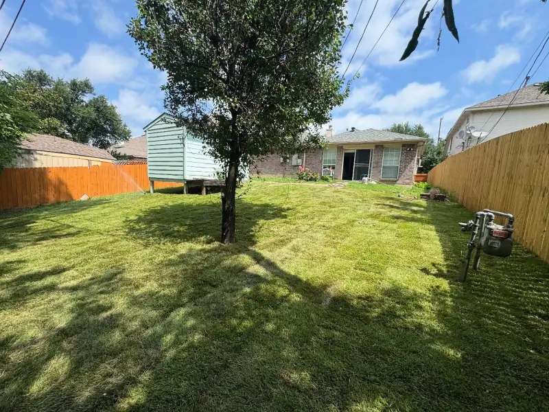 Fresh sod in a fenced North Texas backyard with a mature shade tree