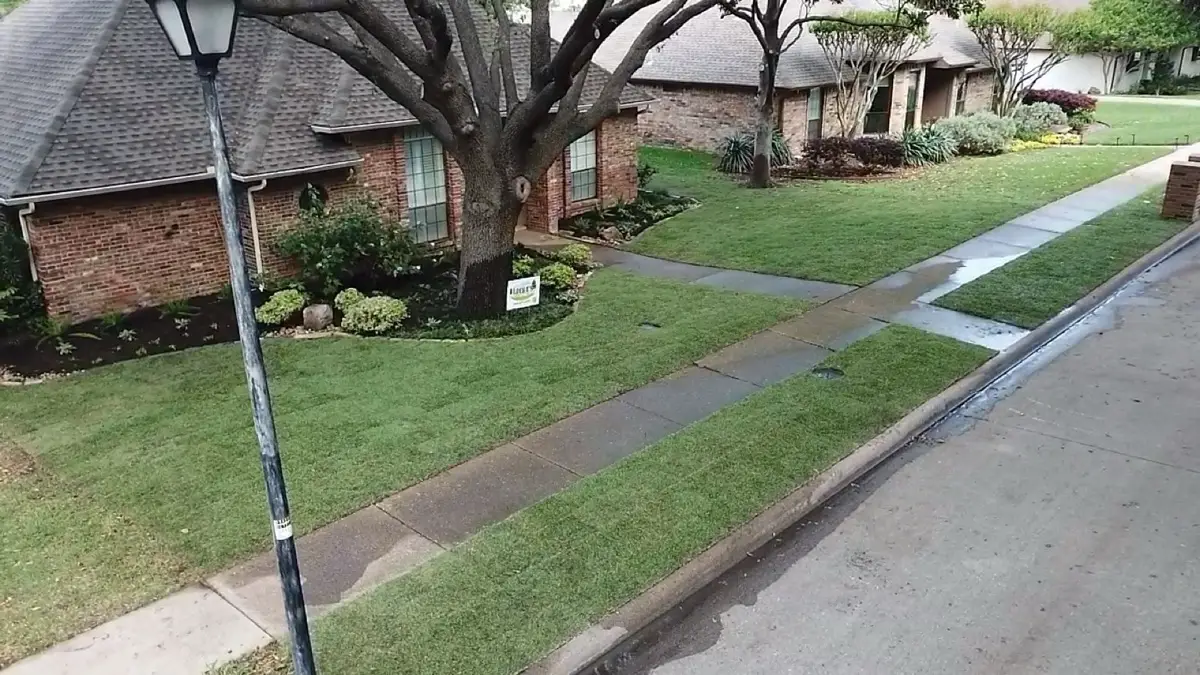 Loera's Sod Installation